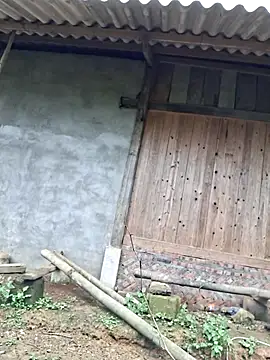 Snapshot of xuxulovezz chatting on 9, 11, 2025 xuxulovezz online show from 9, 11, 2025