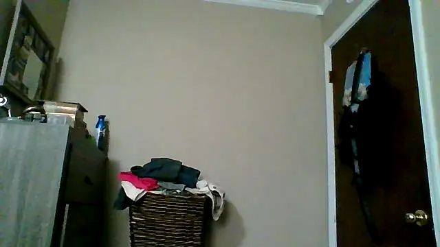 brunettebabexo3 online show from 2, 3, 2026