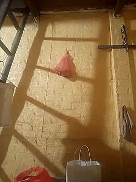 ruby-00 online show from 24, 9, 2025