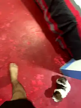 hot duo16 online show from 29, 10, 2025