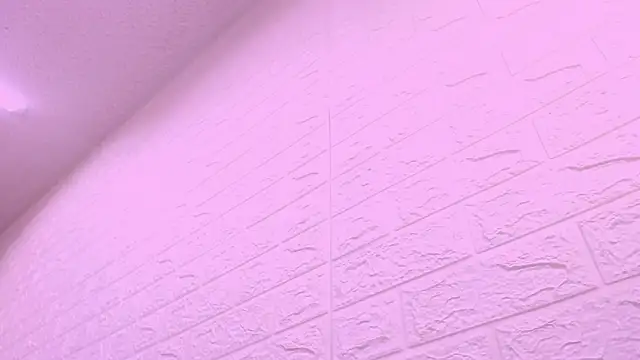 kat 96  online show from 16, 2, 2026