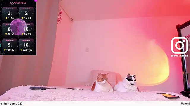 tellmemaddie online show from 1, 11, 2025