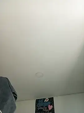 Snapshot of Pingasaboy20 chatting on 28, 11, 2025 Pingasaboy20 online show from 28, 11, 2025