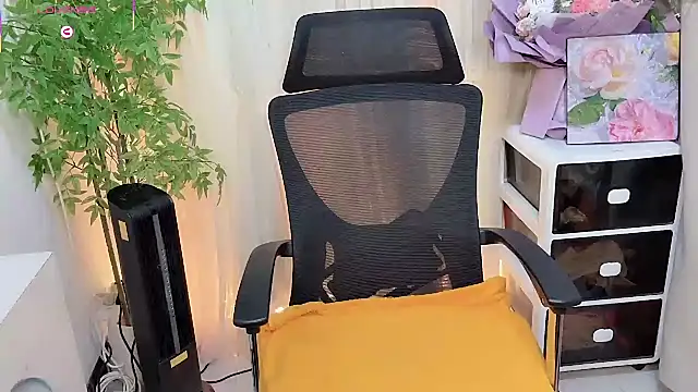 NEWONETO online show from 4, 2, 2026