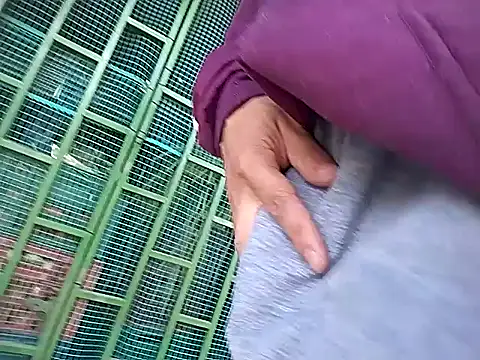 Angel 3-0 online show from 2, 11, 2025