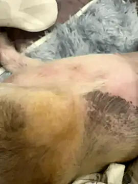 Beebeo00 online show from 6, 10, 2025