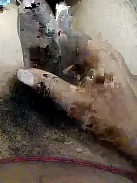 nagepalli online show from 1, 11, 2025