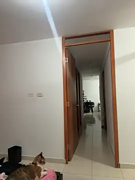 violeticafox online show from 21, 12, 2025