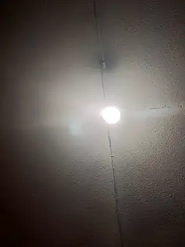 RAJV  online show from 14, 10, 2025