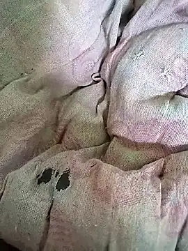 PEEHU-50 online show from 15, 4, 2026