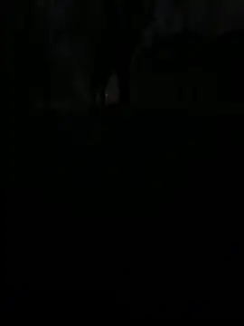 latingangsex online show from 7, 2, 2026