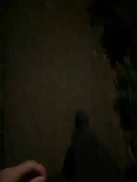 Snapshot of ncjuice_ chatting on 31, 10, 2025 ncjuice online show from 31, 10, 2025