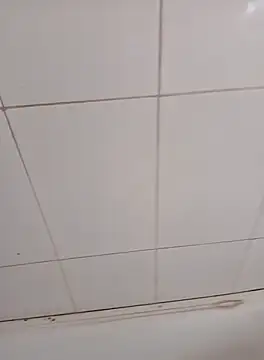 PhoningTint online show from 12, 10, 2025