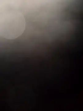 Payarkanasa online show from 28, 11, 2025