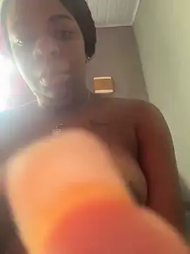 Priihmedeiros online show from 19, 11, 2025