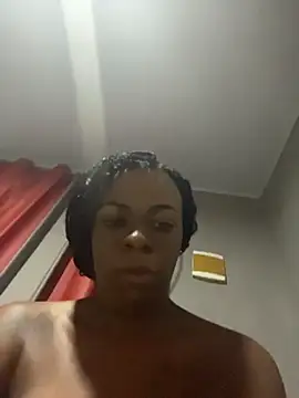 Priihmedeiros online show from 10, 4, 2026