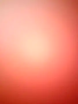 marcojans online show from 2, 12, 2025