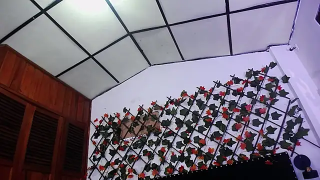 vauroraper online show from 1, 12, 2025