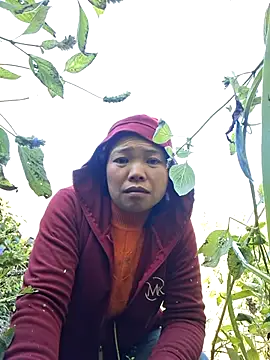 miomio-12 online show from 29, 11, 2025