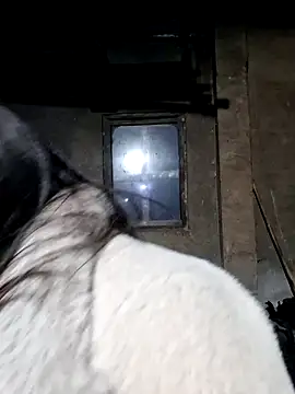 miomio-12 online show from 27, 2, 2026