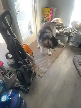 Jcaspen online show from 9, 3, 2026