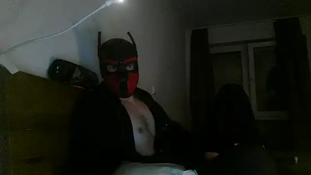 MolleDolle online show from 3, 12, 2025