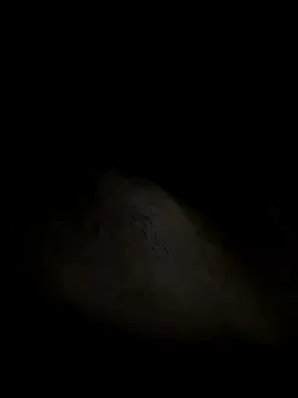 leiteiro2002 online show from 25, 10, 2025