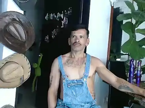 sweet day19 online show from 2, 3, 2026