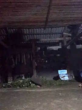 jerry-xx online show from 28, 3, 2026