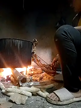 limely- online show from 19, 11, 2025