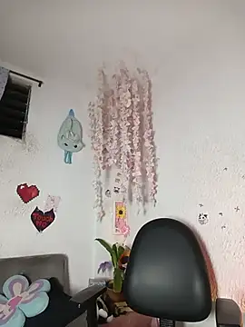 Emilycollei online show from 3, 6, 2026