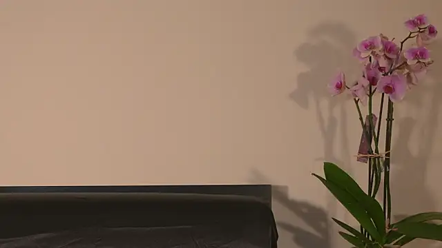 AbrilColls  online show from 15, 3, 2026