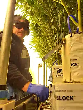 Akdecline online show from 8, 1, 2026