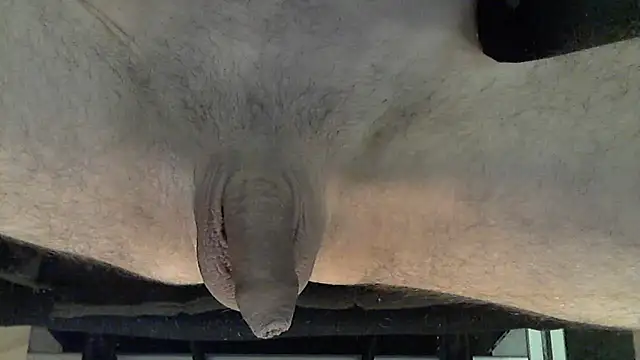 marco pinto online show from 28, 2, 2026