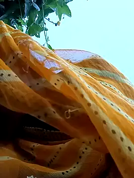 Cutsedi3 online show from 18, 10, 2025