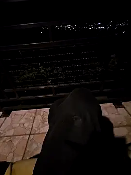 SamoSkupo online show from 29, 10, 2025