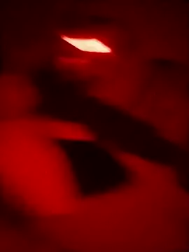 checheludo23 online show from 4, 6, 2026