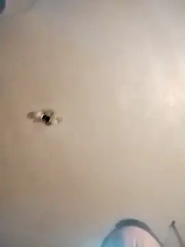 james81mzmga online show from 15, 11, 2025