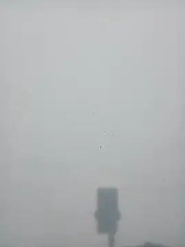 Snapshot of strip_queennn chatting on 10, 11, 2025 strip queennn online show from 10, 11, 2025