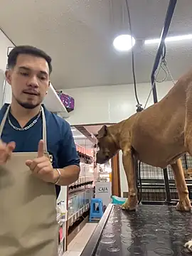 Leonardmoppet online show from 5, 11, 2025