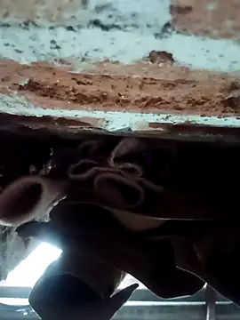 Rajni chauhan online show from 1, 2, 2026