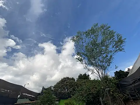 Snapshot of moon2_1_ chatting on 4, 12, 2025 moon2 1 online show from 4, 12, 2025