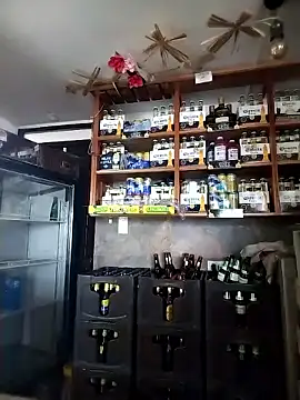 catalella16 online show from 11, 1, 2026