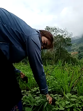 omai-ngot online show from 26, 10, 2025