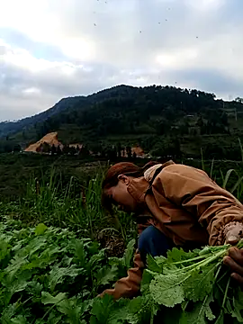 omai-ngot online show from 22, 11, 2025