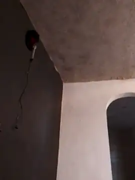 Orlao25cm online show from 23, 11, 2025