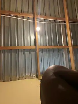 solodrive online show from 24, 2, 2026