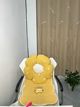 zxcvbnmqwas213 online show from 9, 11, 2025