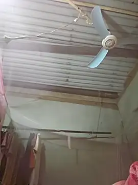 Squirrel-Pear online show from 19, 11, 2025