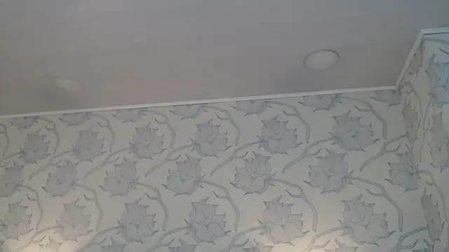 Rachellparker  online show from 5, 12, 2025